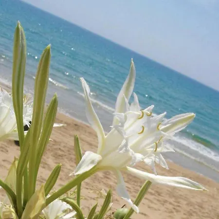 Σπίτι διακοπών Holiday In Isola Di Capo Rizzuto 33784 Ovile la Marina